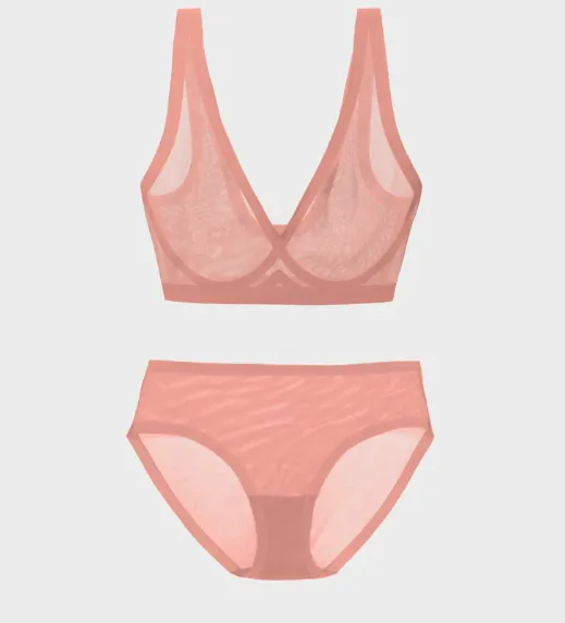 Dusty Rose Sheer Bralette and Brief Set